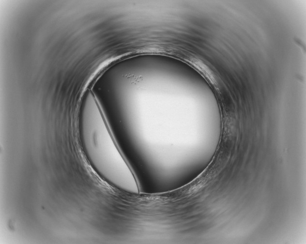 X0000097291000200802221308