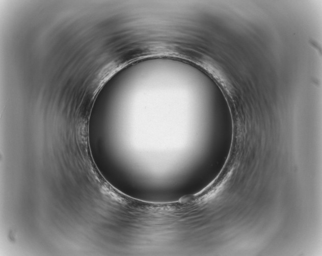 X0000097291001200802221308