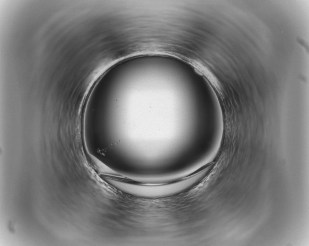 X0000097291004200802221308