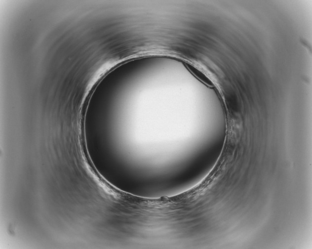 X0000097291005200802221308
