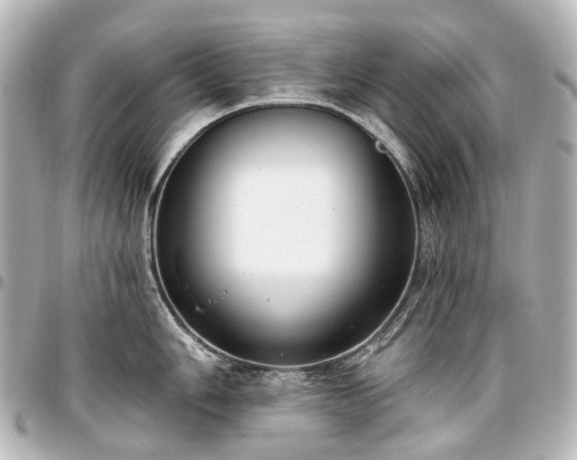 X0000097291006200802221308