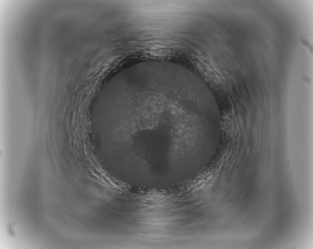 X0000097291009200802221307