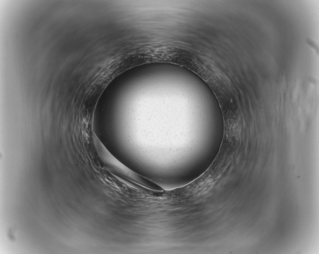 X0000097291010200802221307