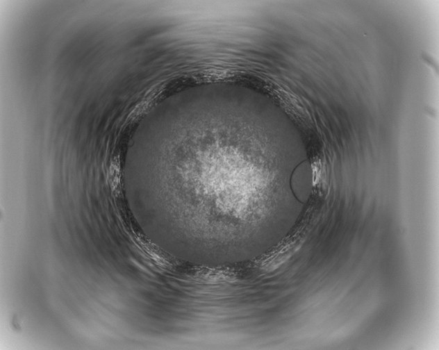 X0000097291011200802221307