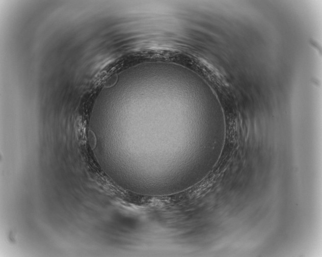 X0000097291013200802221307