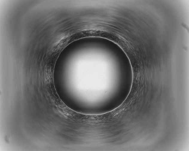 X0000097291014200802221307