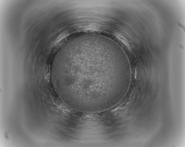 X0000097291015200802221307
