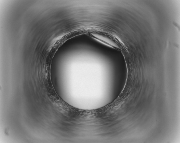 X0000097291016200802221307
