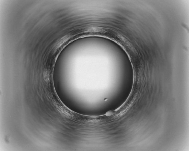 X0000097291017200802221307