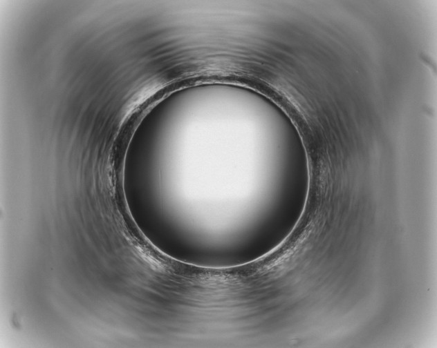 X0000097291018200802221307