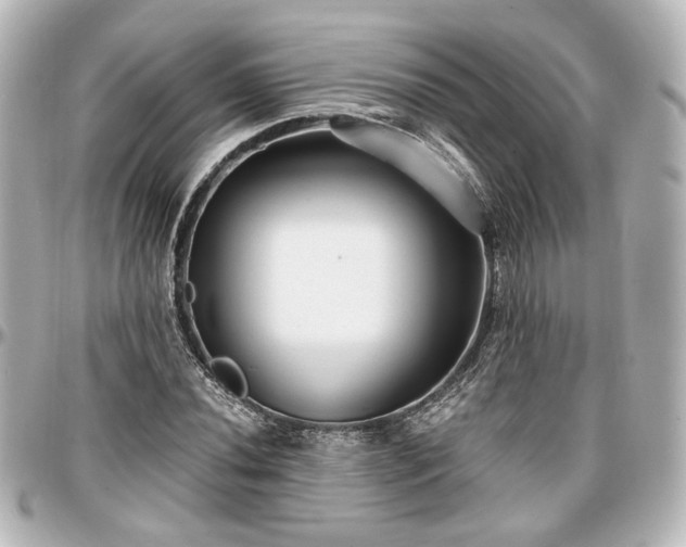 X0000097291020200802221307