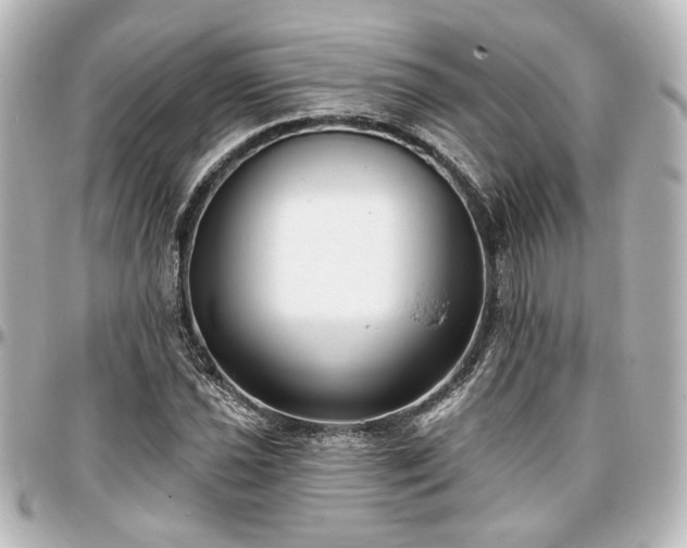 X0000097291021200802221307