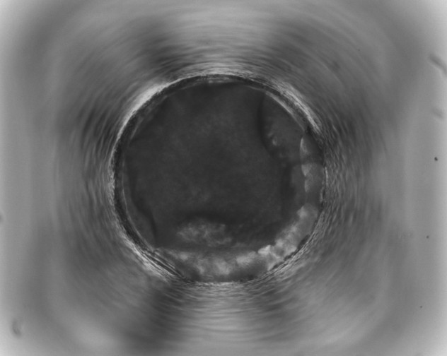 X0000097291024200802221307