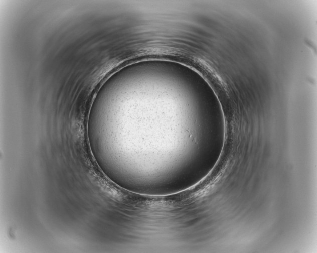 X0000097291025200802221307