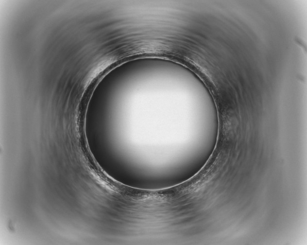 X0000097291026200802221307
