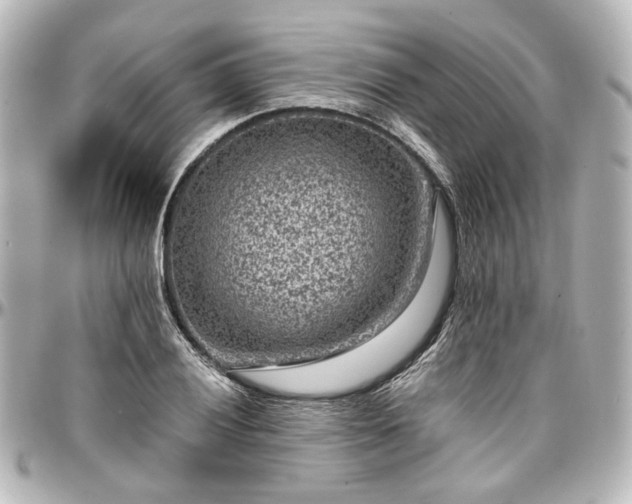 X0000097291028200802221307