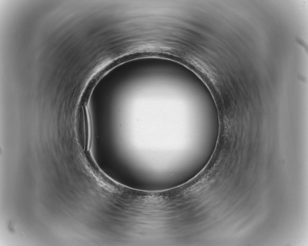 X0000097291029200802221307