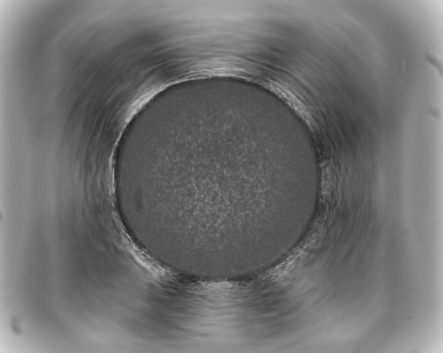 X0000097291031200802221307