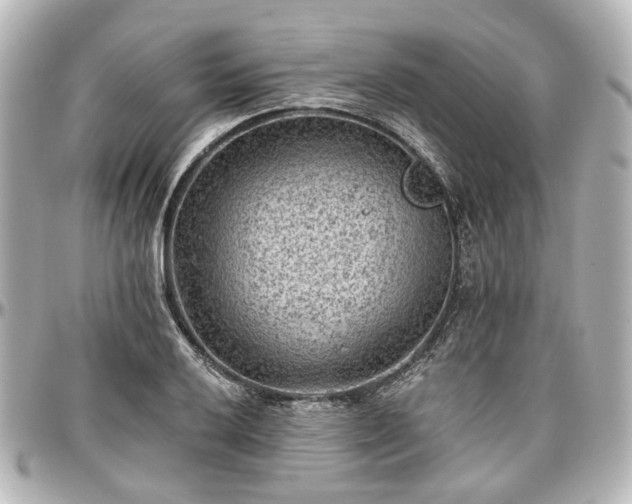X0000097291032200802221307