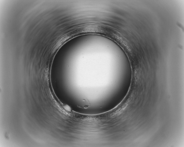 X0000097291033200802221307