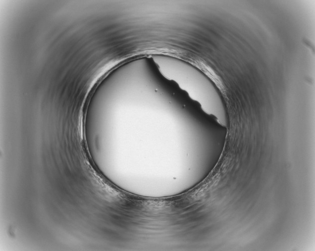 X0000097291036200802221307