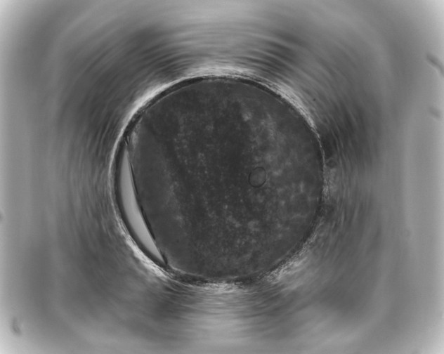 X0000097291037200802221307