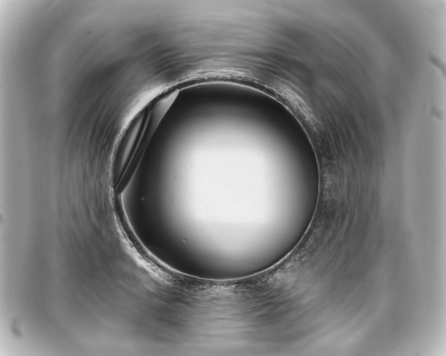 X0000097291038200802221307