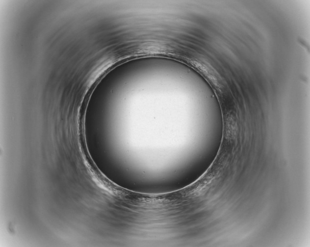 X0000097291039200802221307