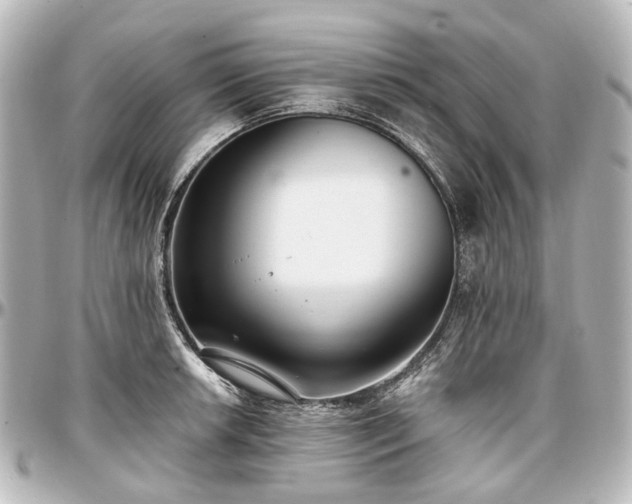 X0000097291042200802221307