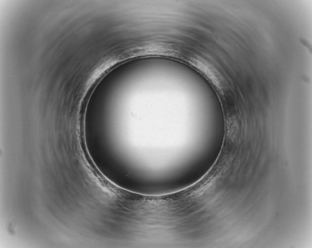 X0000097291043200802221307
