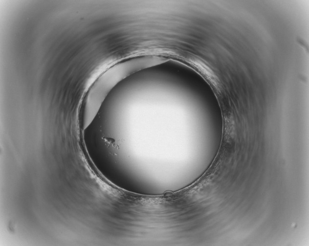 X0000097291046200802221307