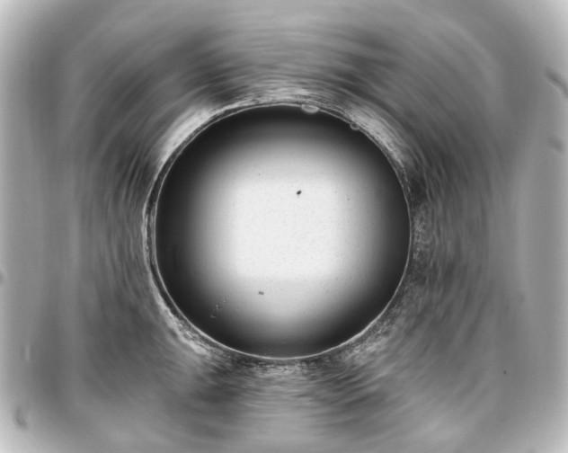 X0000097291047200802221307