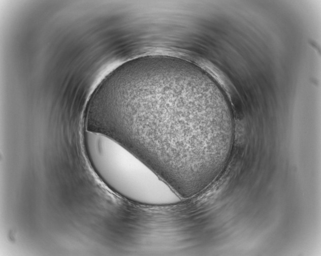 X0000097291048200802221308