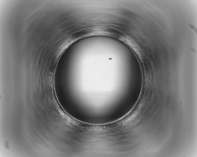 X0000097291049200802221308