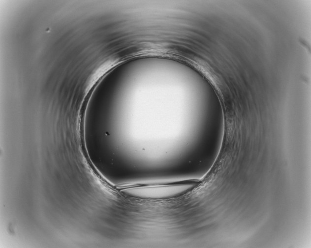 X0000097291050200802221308