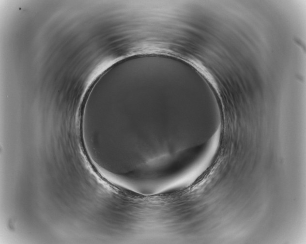 X0000097291053200802221308