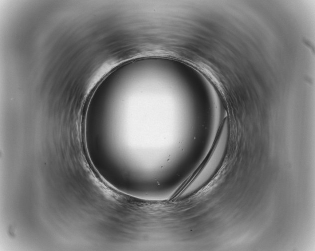 X0000097291054200802221308