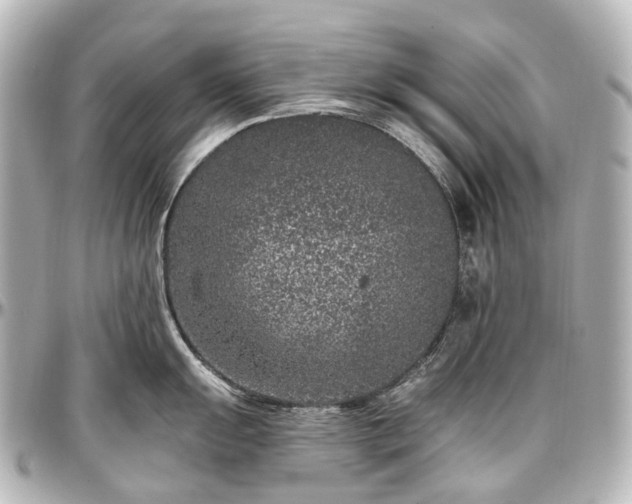 X0000097291055200802221308