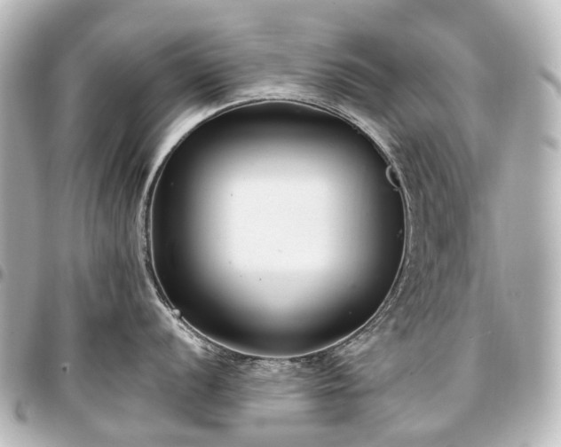 X0000097291056200802221308