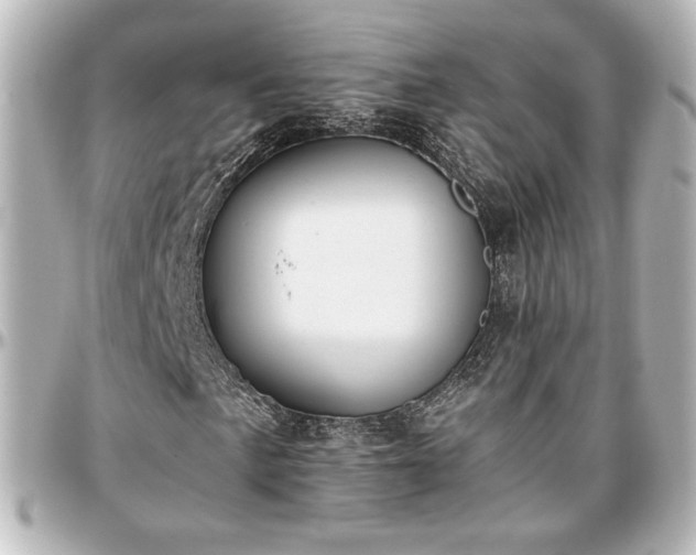 X0000097291057200802221307