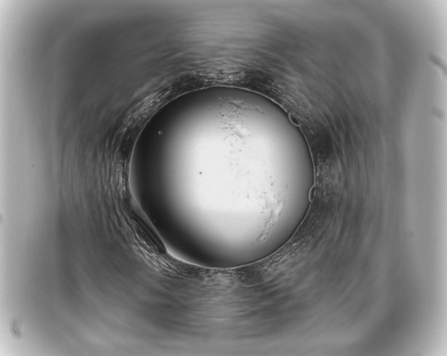 X0000097291058200802221307