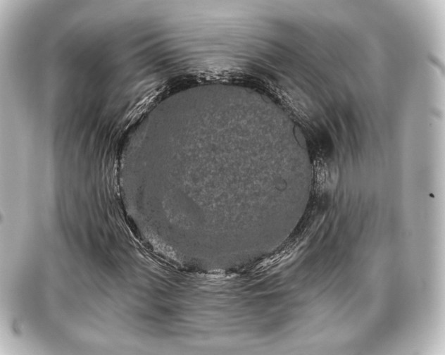 X0000097291060200802221307