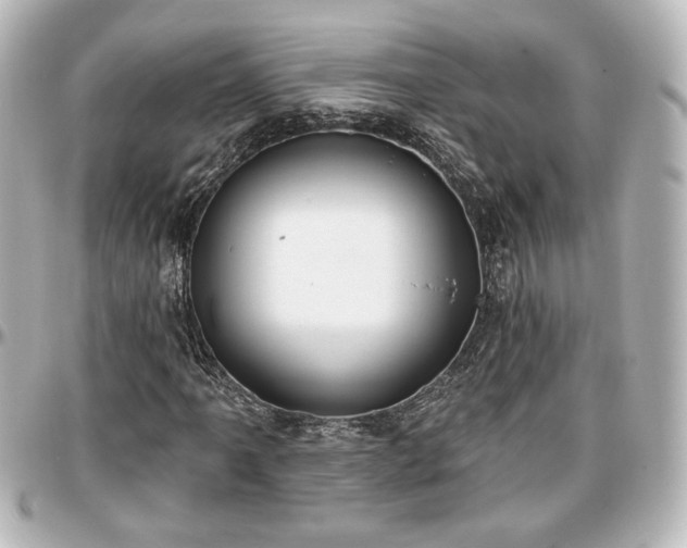 X0000097291061200802221307
