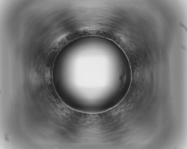 X0000097291062200802221307