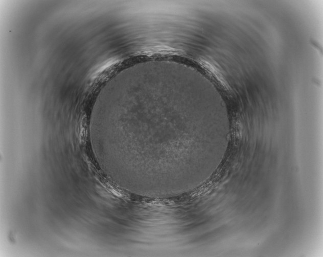 X0000097291063200802221307