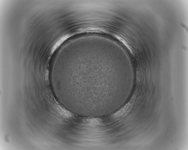 X0000097291066200802221307