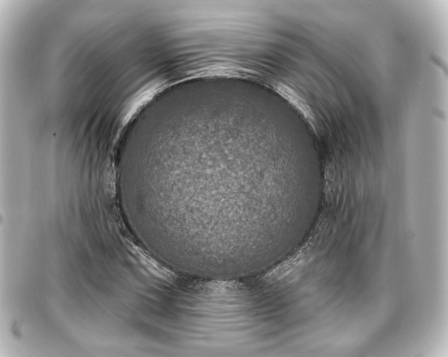 X0000097291067200802221307