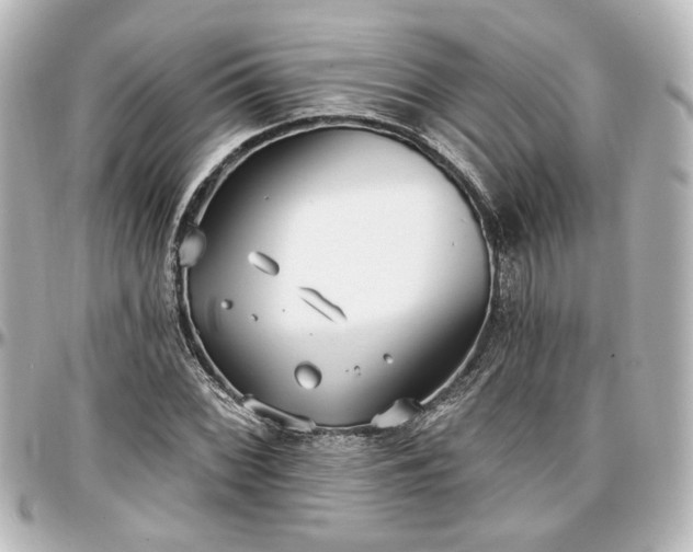 X0000097291068200802221307