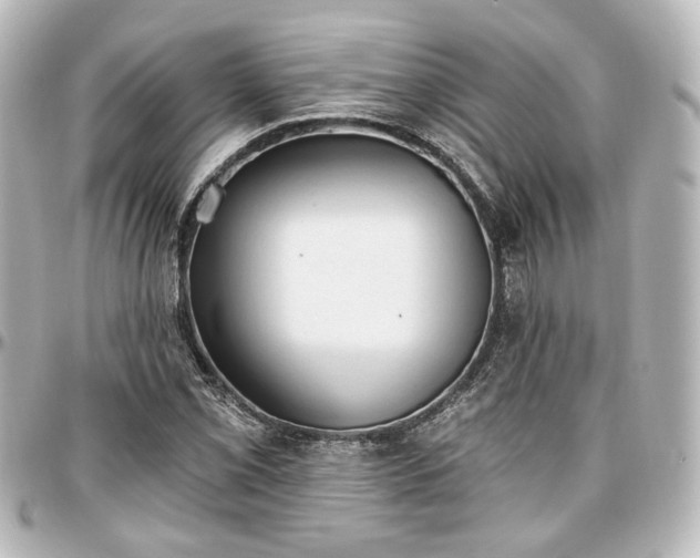 X0000097291069200802221307