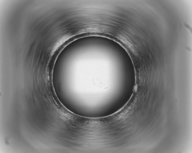 X0000097291070200802221307